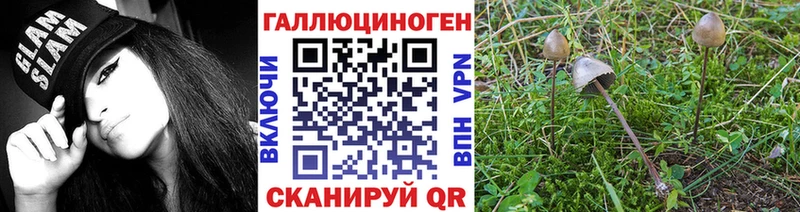 что такое   Радужный  Псилоцибиновые грибы прущие грибы 
